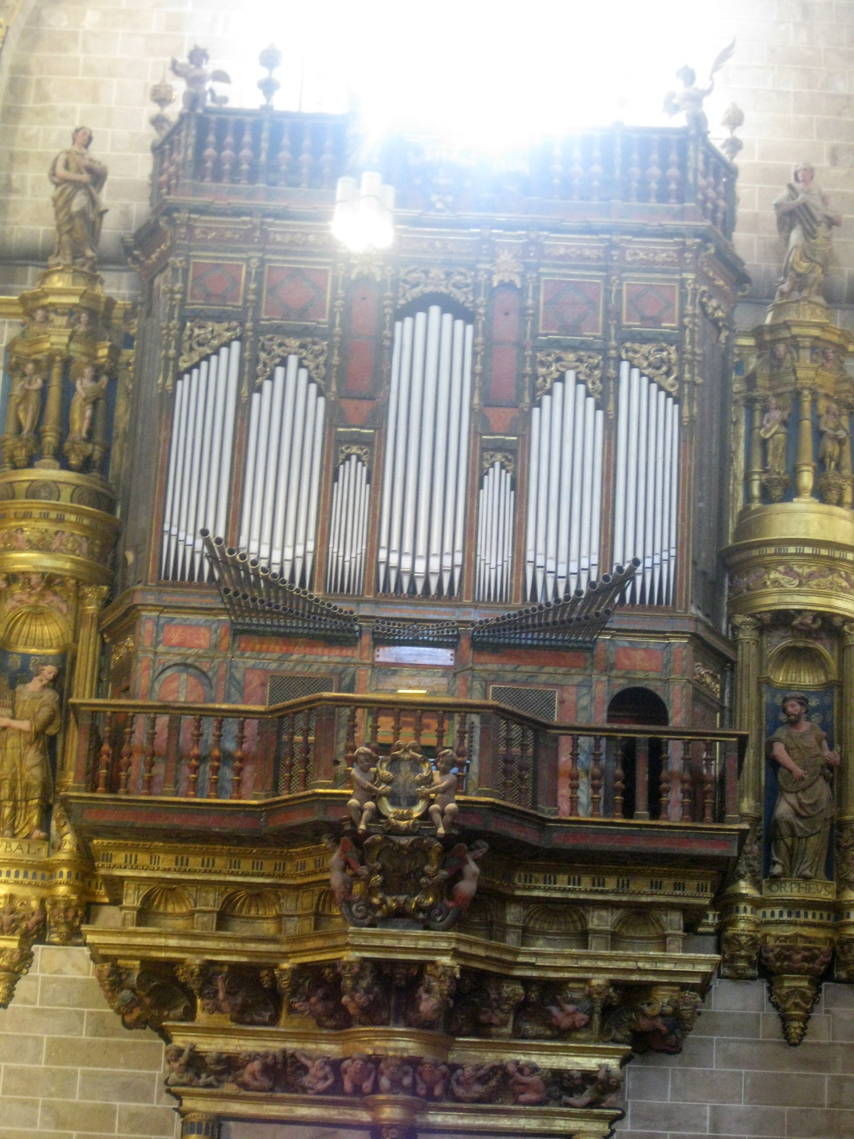 Órgano